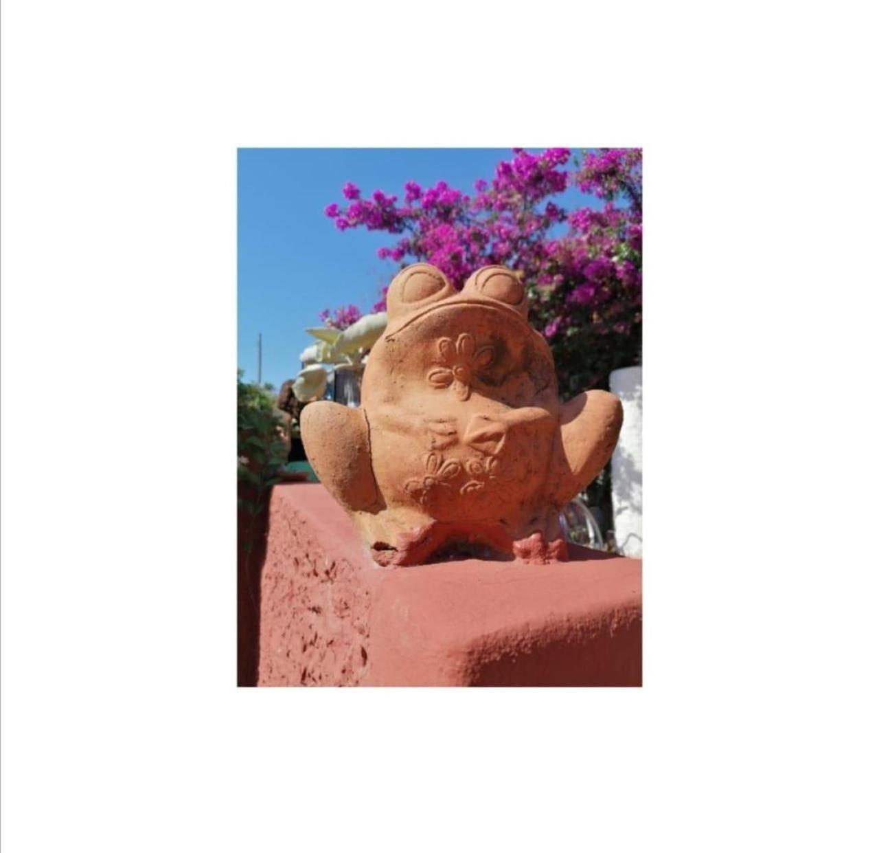 Bed and Breakfast Villino Miraglia Lingua Exterior foto