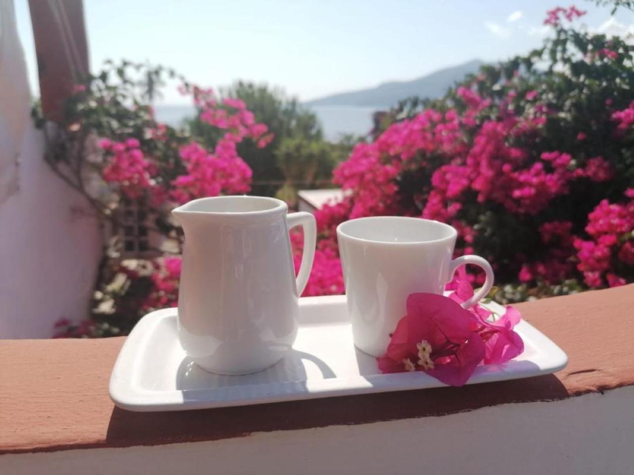 Bed and Breakfast Villino Miraglia Lingua Exterior foto